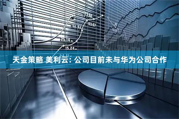 天金策略 美利云: 公司目前未与华为公司合作