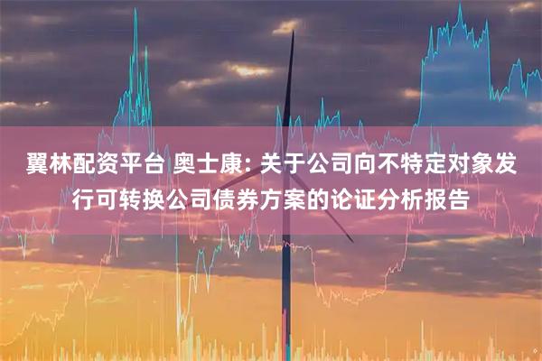 翼林配资平台 奥士康: 关于公司向不特定对象发行可转换公司债券方案的论证分析报告