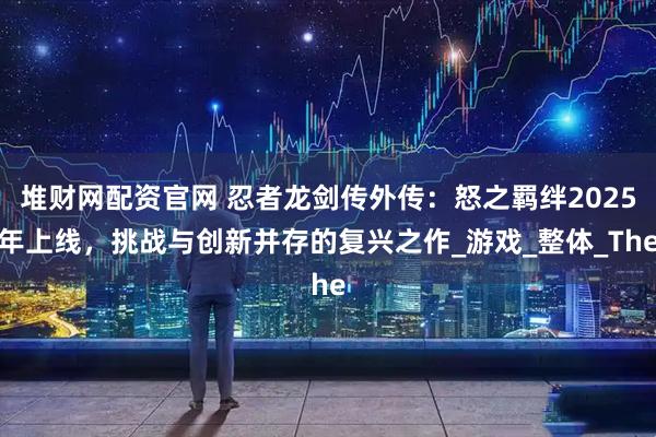 堆财网配资官网 忍者龙剑传外传：怒之羁绊2025年上线，挑战与创新并存的复兴之作_游戏_整体_The